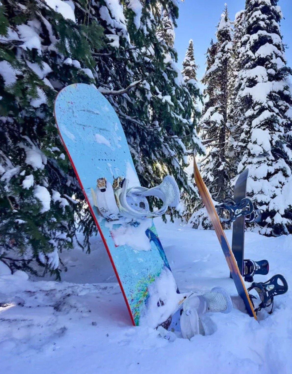 Find Anything
Around <span>You</span>.